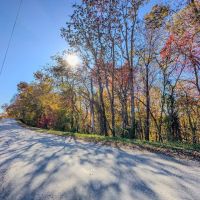 Shay Ridge - 43 Acres- Washington County images 3