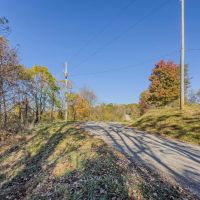 Shay Ridge - 43 Acres- Washington County images 4