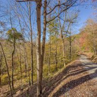 Shay Ridge - 43 Acres- Washington County images 5