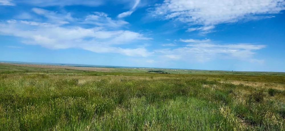 Buffalo Coulee Ranch featured image