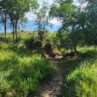 Buffalo Coulee Ranch images 3