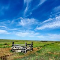 Buffalo Coulee Ranch images 5