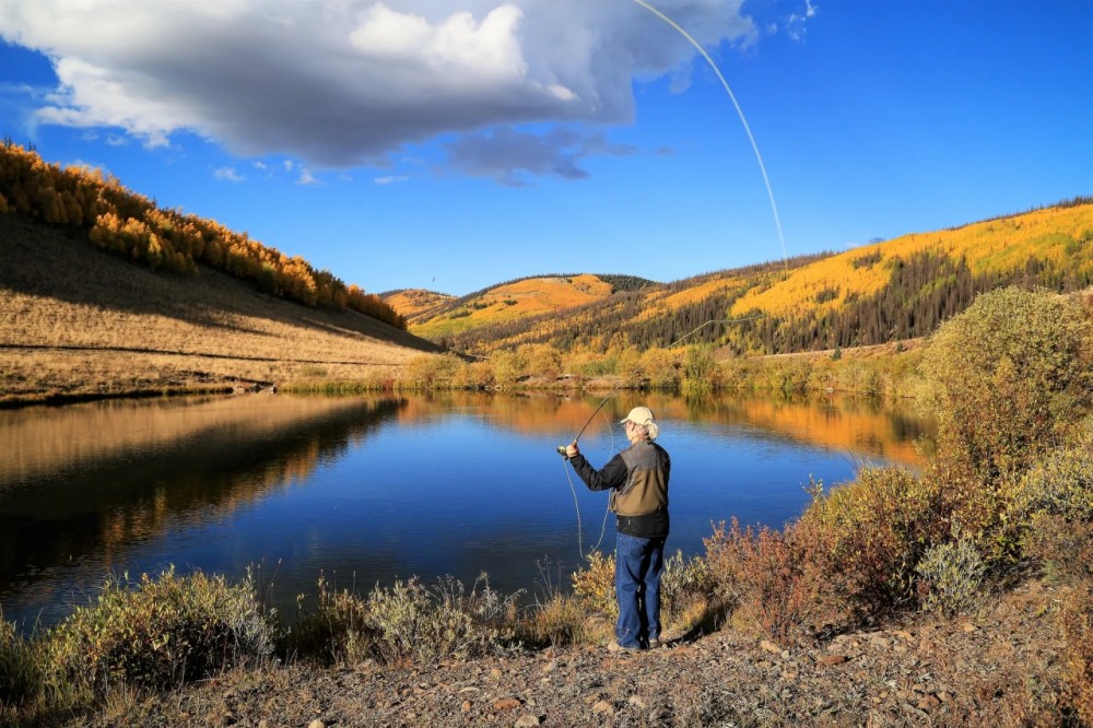 Oleo Ranch featured image