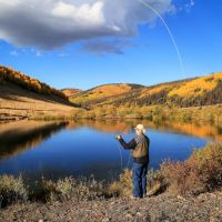 Oleo Ranch images 1