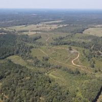122 Acres for Sale in Jasper County