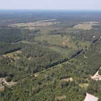 122 Acres for Sale in Jasper County images 2