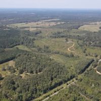 122 Acres for Sale in Jasper County images 3