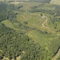 122 Acres for Sale in Jasper County images 5