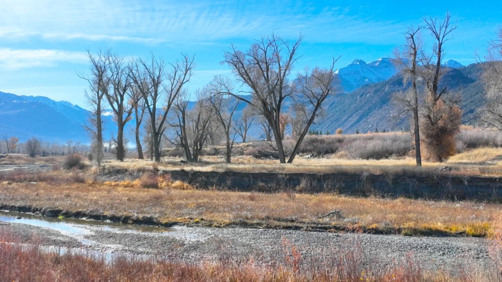 Uncompahgre River Farm featured image