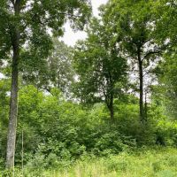 The Perfect Size Tract in the Perfect Location images 5