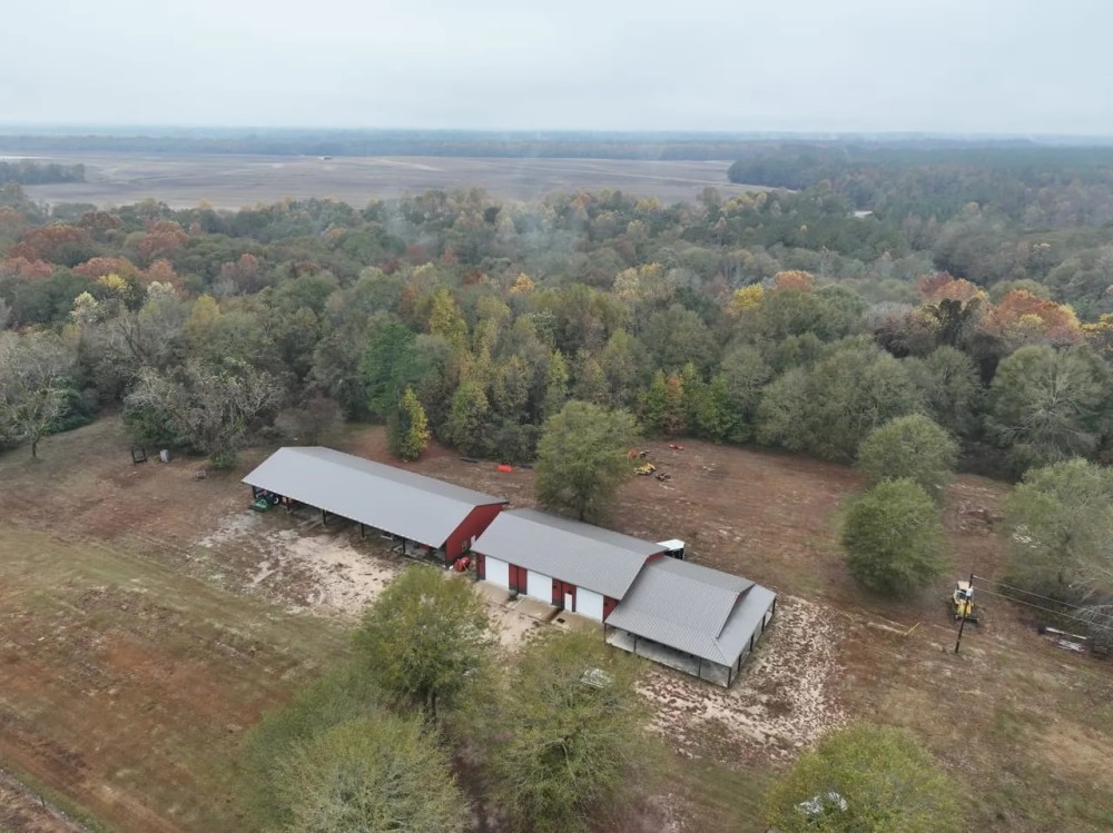 1 000 Acre Trophy Property in Bullock County featured image