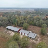 1 000 Acre Trophy Property in Bullock County