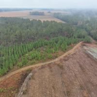 1 000 Acre Trophy Property in Bullock County images 3