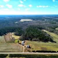 148 acres of Residential Hunting and Timber Land for Sale in Bertie County NC images 4