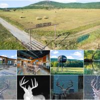Buck Creek Ranch - 1273.59 Acres in Daisy OK