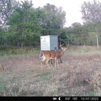 Buck Creek Ranch - 1273.59 Acres in Daisy OK images 3