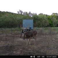 Buck Creek Ranch - 1273.59 Acres in Daisy OK images 4