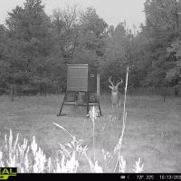 Buck Creek Ranch - 1273.59 Acres in Daisy OK images 5