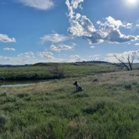 Castle Rock Ranch images 3