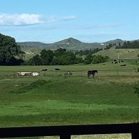 Castle Rock Ranch images 5