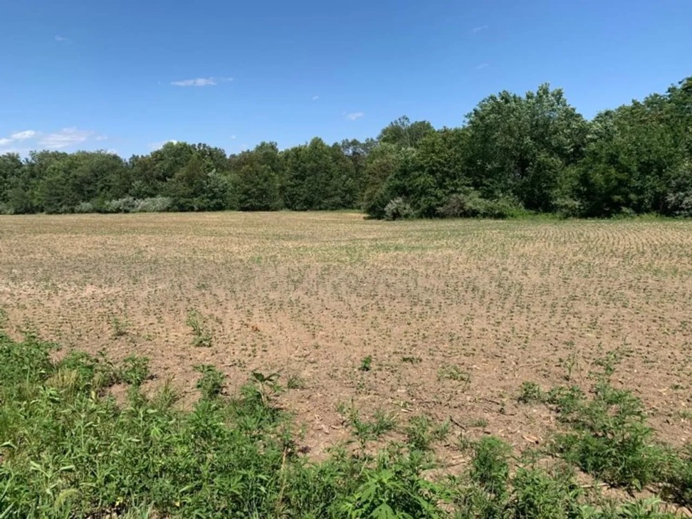 Moberly Farm Hunt Tract 8 featured image