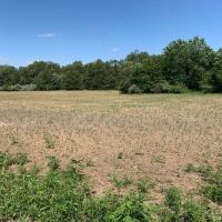 Moberly Farm Hunt Tract 8