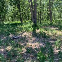 Moberly Farm Hunt Tract 8 images 2