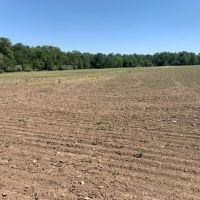 Moberly Farm Hunt Tract 8 images 3