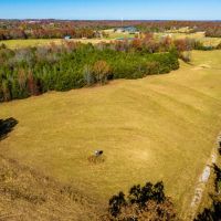 80 - Acres Pasture Mature Timber Cave City Arkansas images 2