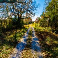 80 - Acres Pasture Mature Timber Cave City Arkansas images 4