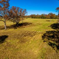 80 - Acres Pasture Mature Timber Cave City Arkansas images 5