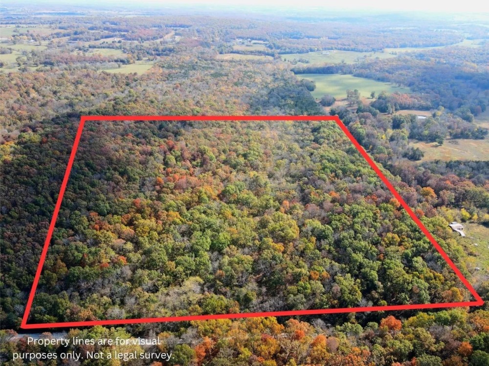 Affordable hunting property featured image
