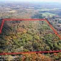 Affordable hunting property