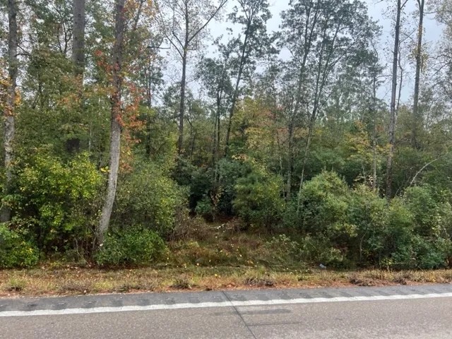 19.4 acres Patonia Road in City Limits of Lumberton featured image