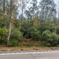 19.4 acres Patonia Road in City Limits of Lumberton