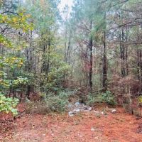 19.4 acres Patonia Road in City Limits of Lumberton images 4