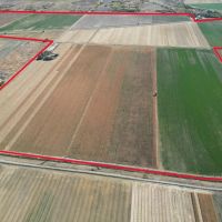 Spady Farm images 3
