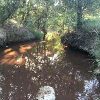 New Listing 25 - Acres Brown County images 2
