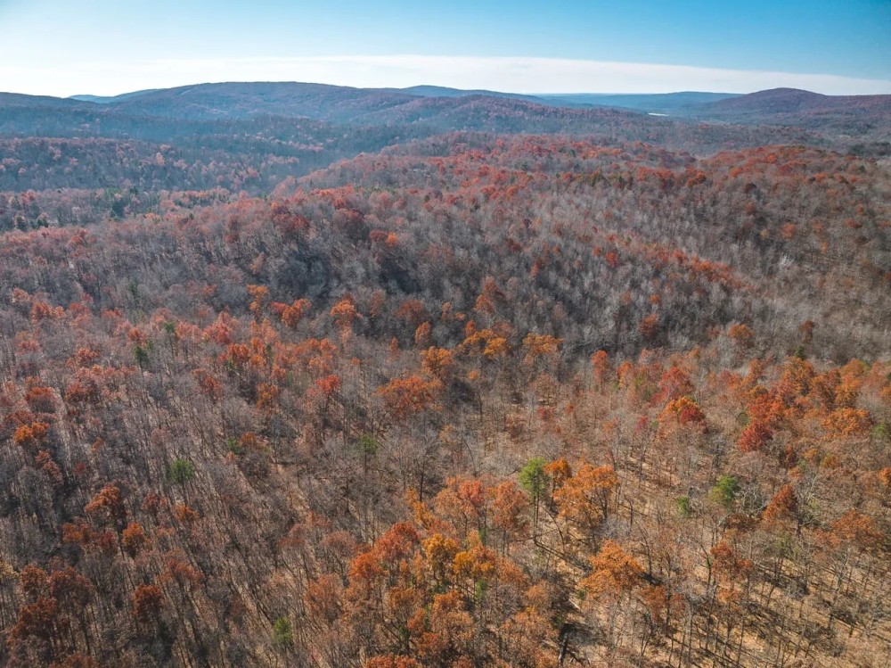 Black River Getaway featured image