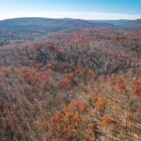 Black River Getaway