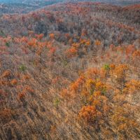 Black River Getaway images 4