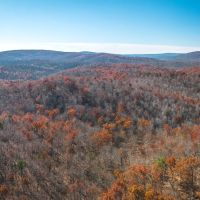 Black River Getaway images 5