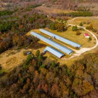 50 - Acres Doublewide Mobile Pond Cave City Arkansas images 3