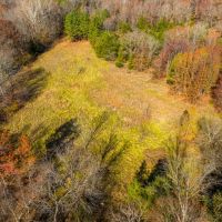 50 - Acres Doublewide Mobile Pond Cave City Arkansas images 5