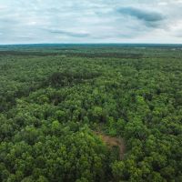 Red Barn Lodge Acres-Tract 2 images 3