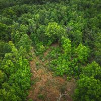 Red Barn Lodge Acres-Tract 2 images 5
