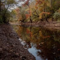 262.4 Acres and a Camp in Wayne County MS