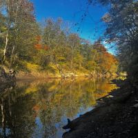 262.4 Acres and a Camp in Wayne County MS images 3