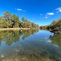 262.4 Acres and a Camp in Wayne County MS images 5