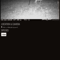 Screenshot 20241027-203301 spypoint